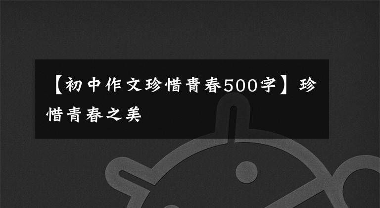 【初中作文珍惜青春500字】珍惜青春之美