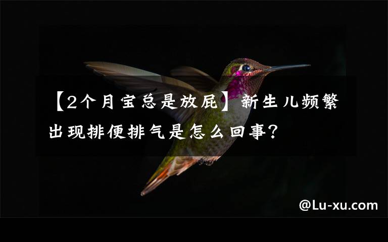【2个月宝总是放屁】新生儿频繁出现排便排气是怎么回事？