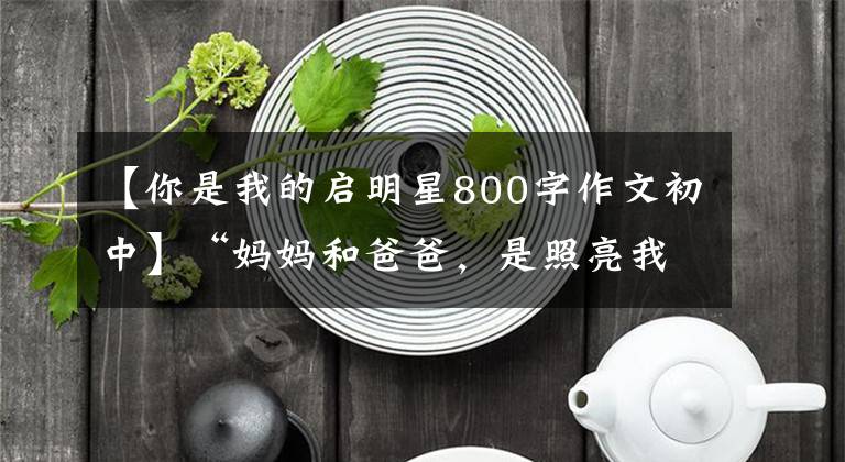 【你是我的启明星800字作文初中】“妈妈和爸爸,是照亮我的新星!”