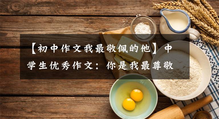 【初中作文我最敬佩的他】中学生优秀作文:你是我最尊敬的人