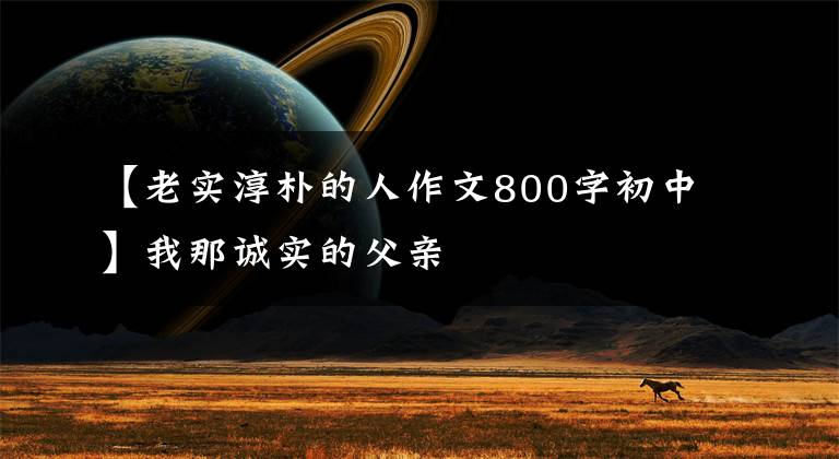 【老实淳朴的人作文800字初中】我那诚实的父亲