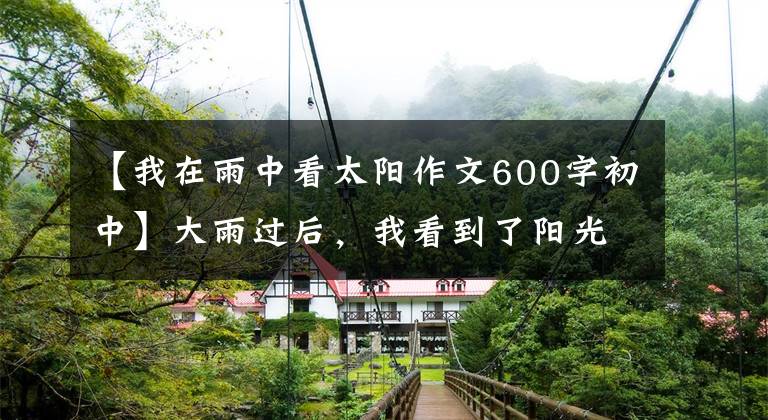 【我在雨中看太阳作文600字初中】大雨过后,我看到了阳光的痕迹