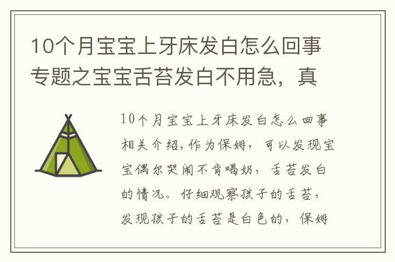 10个月宝宝上牙床发白怎么回事专题之宝宝舌苔发白不用急,真相可能是这样的