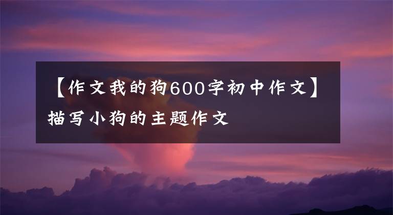 【作文我的狗600字初中作文】描写小狗的主题作文