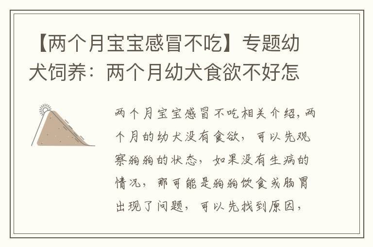 【两个月宝宝感冒不吃】专题幼犬饲养:两个月幼犬食欲不好怎么办?针对原因采取措施