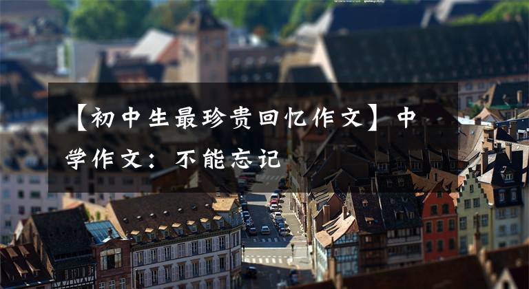 【初中生最珍贵回忆作文】中学作文:不能忘记