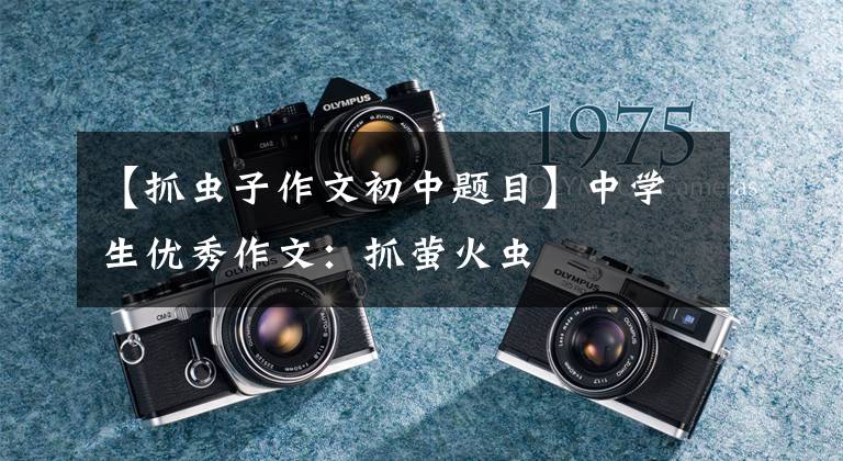 【抓虫子作文初中题目】中学生优秀作文:抓萤火虫