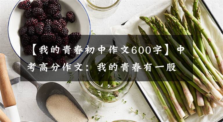 【我的青春初中作文600字】中考高分作文:我的青春有一股芳香。