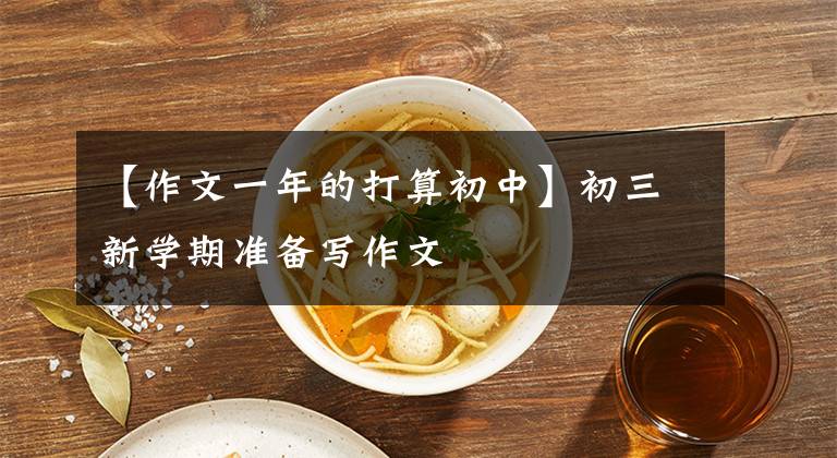 【作文一年的打算初中】初三新学期准备写作文