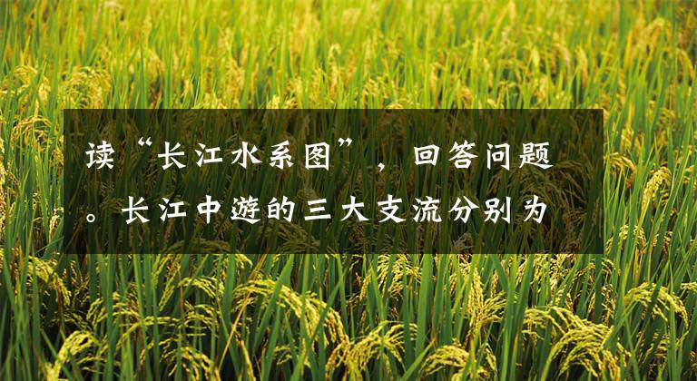 读“长江水系图”,回答问题。长江中游的三大支流分别为、和。长江上游的水能资源十分丰富,目前已建成的最大的水利枢纽工程是,在图中的代号为;正