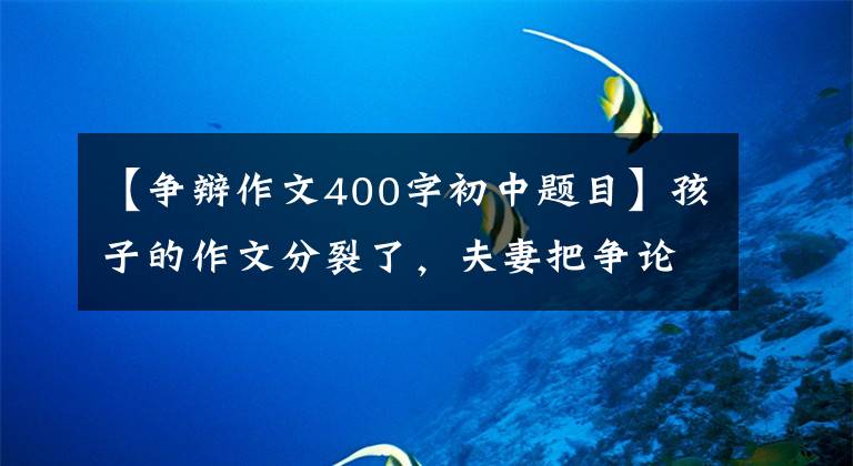 【争辩作文400字初中题目】孩子的作文分裂了,夫妻把争论吸引到400人的大群人当中,谁更有道理?