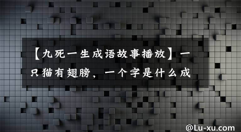 【九死一生成语故事播放】一只猫有翅膀,一个字是什么成语,九死生活了下来。