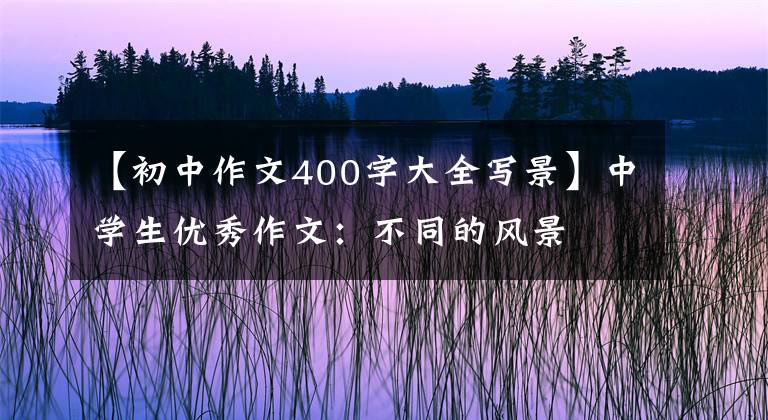 【初中作文400字大全写景】中学生优秀作文:不同的风景