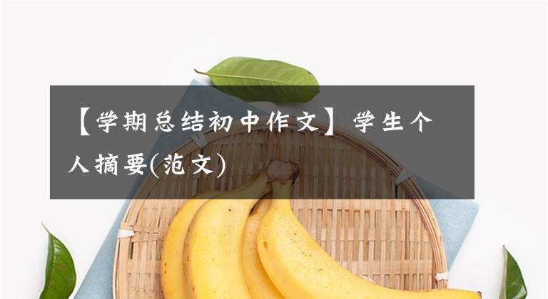 【学期总结初中作文】学生个人摘要(范文)