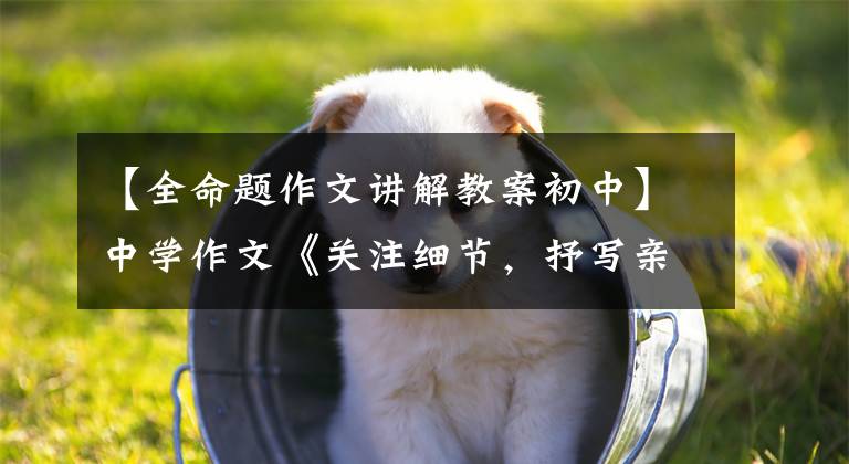 【全命题作文讲解教案初中】中学作文《关注细节，抒写亲情》公开课计划