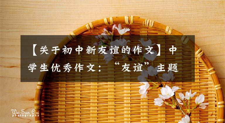 【关于初中新友谊的作文】中学生优秀作文:“友谊”主题作文