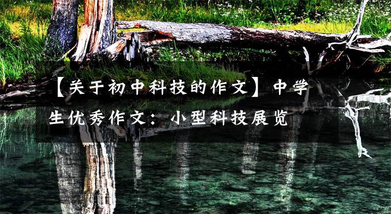 【关于初中科技的作文】中学生优秀作文:小型科技展览