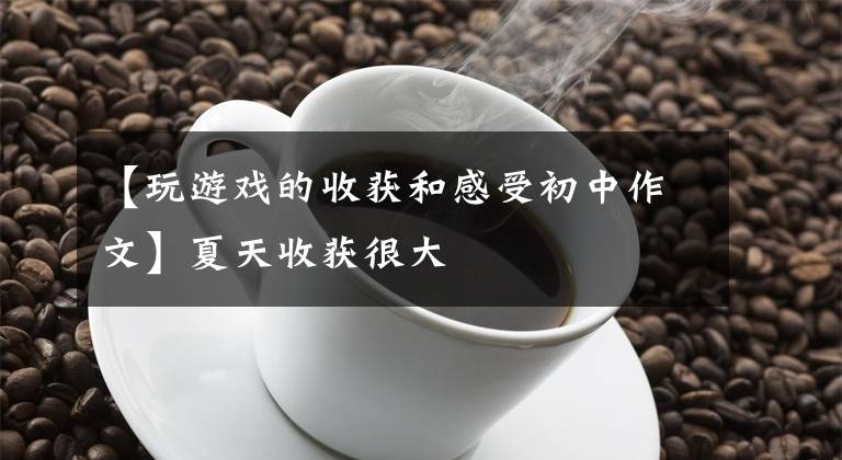 【玩游戏的收获和感受初中作文】夏天收获很大