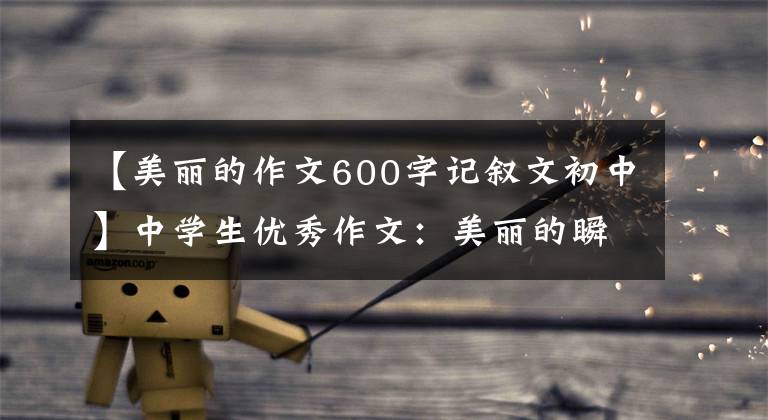 【美丽的作文600字记叙文初中】中学生优秀作文:美丽的瞬间