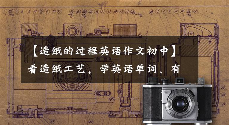 【造纸的过程英语作文初中】看造纸工艺,学英语单词,有这样的好事!