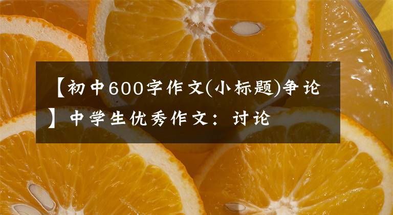 【初中600字作文(小标题)争论】中学生优秀作文:讨论