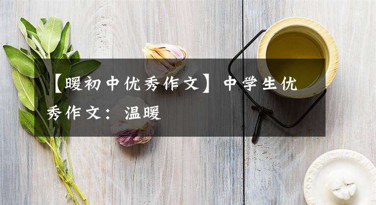 【暖初中优秀作文】中学生优秀作文：温暖