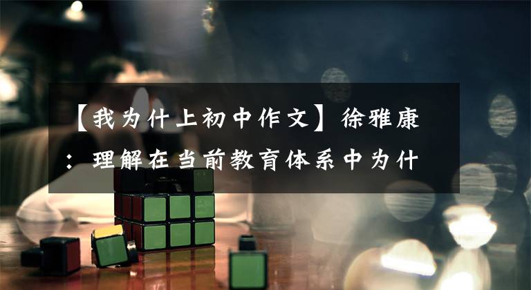 【我为什上初中作文】徐雅康:理解在当前教育体系中为什么要上学。
