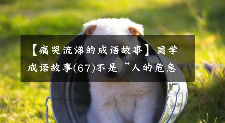 【痛哭流涕的成语故事】国学成语故事(67)不是“人的危急”,而是楚昭王的幸运逃亡。