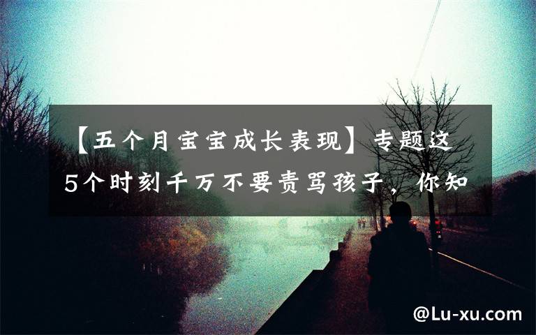【五个月宝宝成长表现】专题这5个时刻千万不要责骂孩子,你知道几个