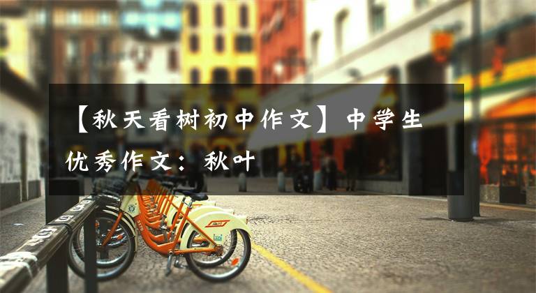 【秋天看树初中作文】中学生优秀作文:秋叶