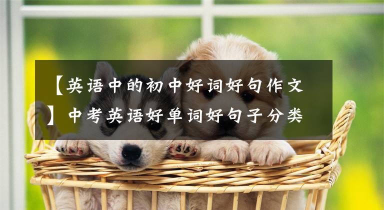 【英语中的初中好词好句作文】中考英语好单词好句子分类归纳,全部背下来,作文得高分