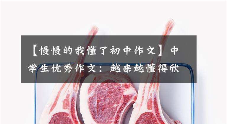 【慢慢的我懂了初中作文】中学生优秀作文:越来越懂得欣赏的我