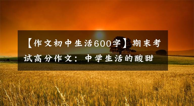 【作文初中生活600字】期末考试高分作文：中学生活的酸甜苦辣