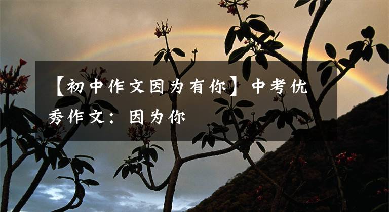 【初中作文因为有你】中考优秀作文:因为你