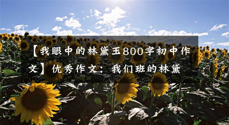 【我眼中的林黛玉800字初中作文】优秀作文:我们班的林黛玉