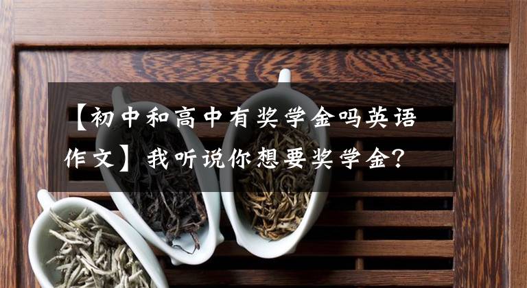 【初中和高中有奖学金吗英语作文】我听说你想要奖学金？给你。拿去吧。