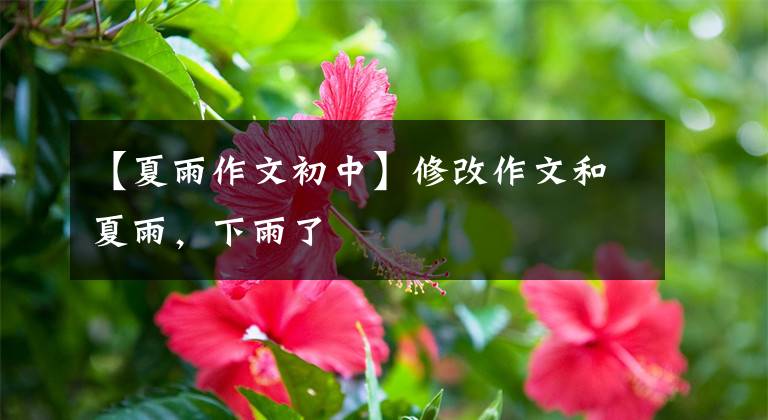 【夏雨作文初中】修改作文和夏雨,下雨了
