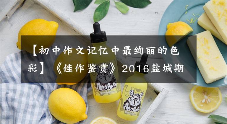 【初中作文记忆中最绚丽的色彩】《佳作鉴赏》2016盐城期中考试满分作文:有这样的色彩。