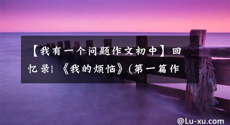 【我有一个问题作文初中】回忆录| 《我的烦恼》(第一篇作文2)