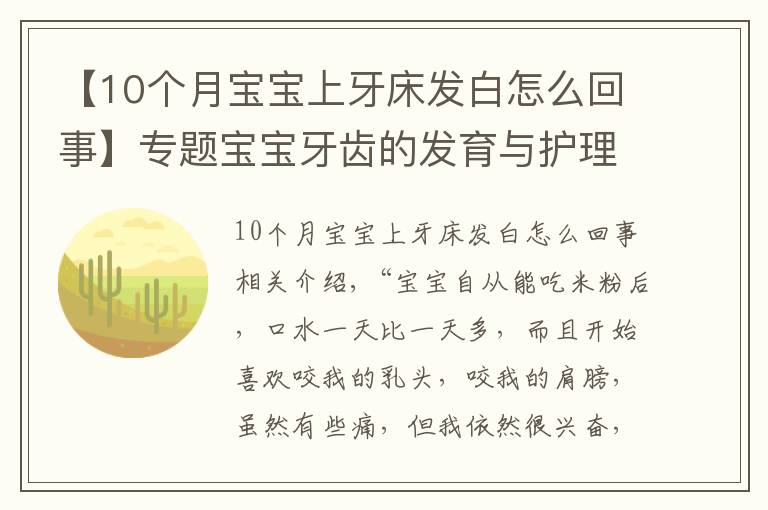 【10个月宝宝上牙床发白怎么回事】专题宝宝牙齿的发育与护理(上)