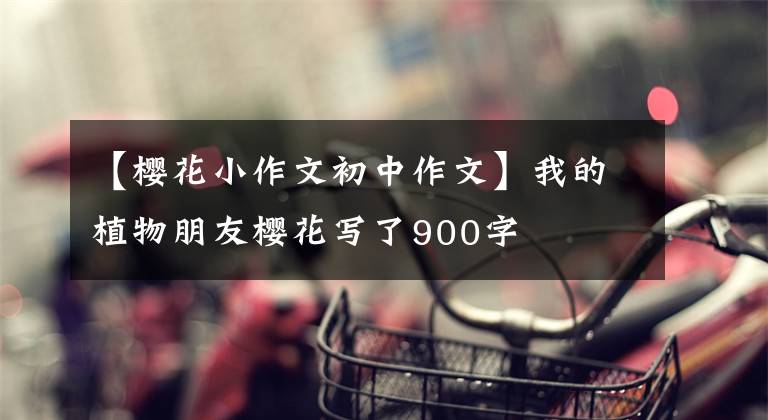 【樱花小作文初中作文】我的植物朋友樱花写了900字