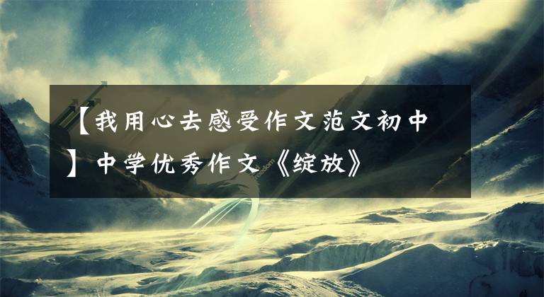 【我用心去感受作文范文初中】中学优秀作文《绽放》