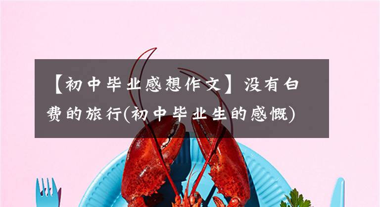 【初中毕业感想作文】没有白费的旅行(初中毕业生的感慨)