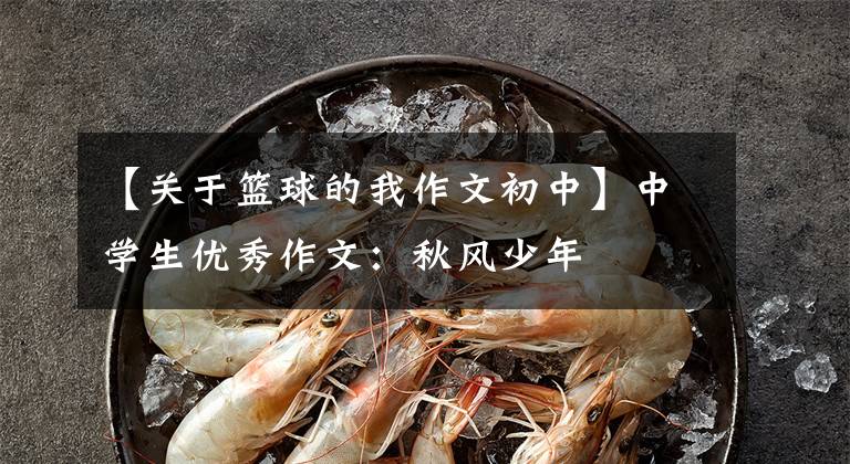【关于篮球的我作文初中】中学生优秀作文:秋风少年