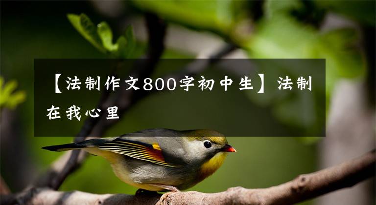 【法制作文800字初中生】法制在我心里