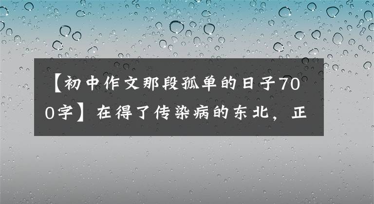 【初中作文那段孤单的日子700字】在得了传染病的东北,正经历着跨越数十年的孤独。