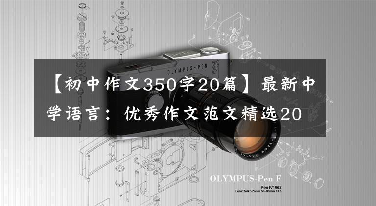 【初中作文350字20篇】最新中学语言：优秀作文范文精选20篇！包括评论，给孩子上一课