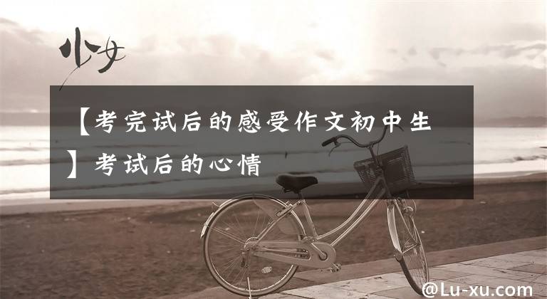 【考完试后的感受作文初中生】考试后的心情