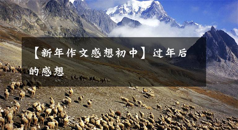【新年作文感想初中】过年后的感想