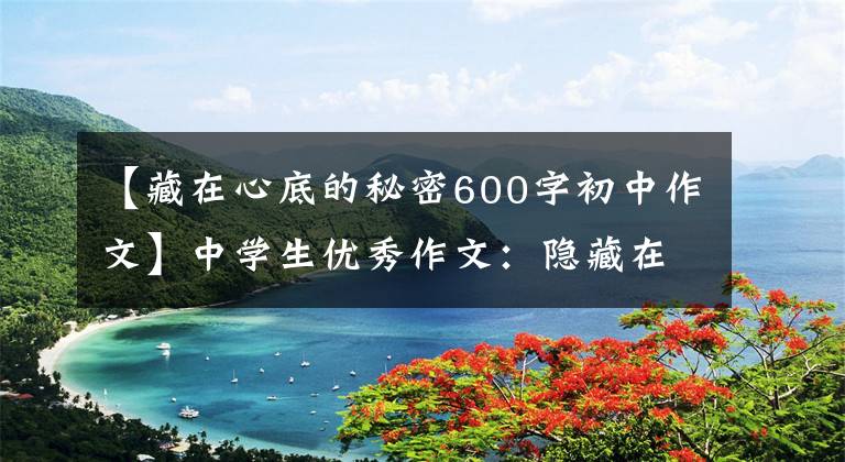 【藏在心底的秘密600字初中作文】中学生优秀作文：隐藏在心中的秘密